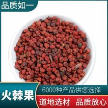 火棘果 中药材新货火棘子火把果救兵粮救军粮赤阳子 支持药检