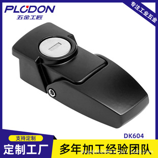 D DKS-1i i 늙TiDK604܇