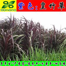 ��ɫ����ݷNѿ���o����iţ���u���Z���~������������������