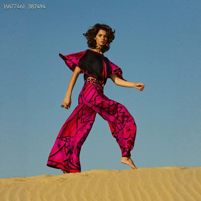 Independent Brand 2026 New Intellectual Style Round Neck Ruffle Sleeve Top + Printed Wide-Leg Flared Pants Two-Piece Set Independent Brand 2026 New Intellectual Style Round Neck Ruffle Sleeve Top + Printed Wide-Leg Flared Pants Two-Piece Set