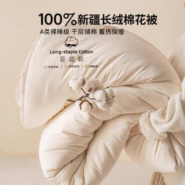 A类100新疆棉花被子冬被棉被加厚保暖纯棉全棉春秋被被芯棉絮四季