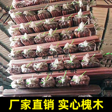 �S��ֱ�N��ľ�ֱ�ľ���@���@�� �F�}�� �F�@�� �z�^���}�ѻ�ľE18