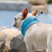 �ļ��������������ع�����������޹�������׌�����Ї���