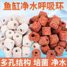 �~���^�V���ϿƼ��h�tɫ�����h�h�t�⼚���h����������~���^�V��