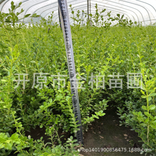 С�~�S��������S������ԾG�h����|��С�����l���r�S�����辰