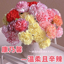 ���^����ܰ�����r���������r��ֱ�l���廨��Ʒ�^������diy�r��