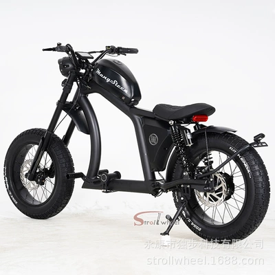 Elektrikli motosikletlər Model Outdoor Cycling 48V