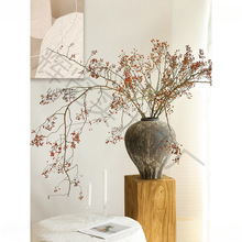 ɽ�w��ֲ��ɻ������͏d�[�O�����L�廨�ɘ�֦�b[����֦