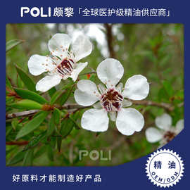 澳大利亚进口松红梅精油原料澳大利亚精油面部护理精油颇黎精油