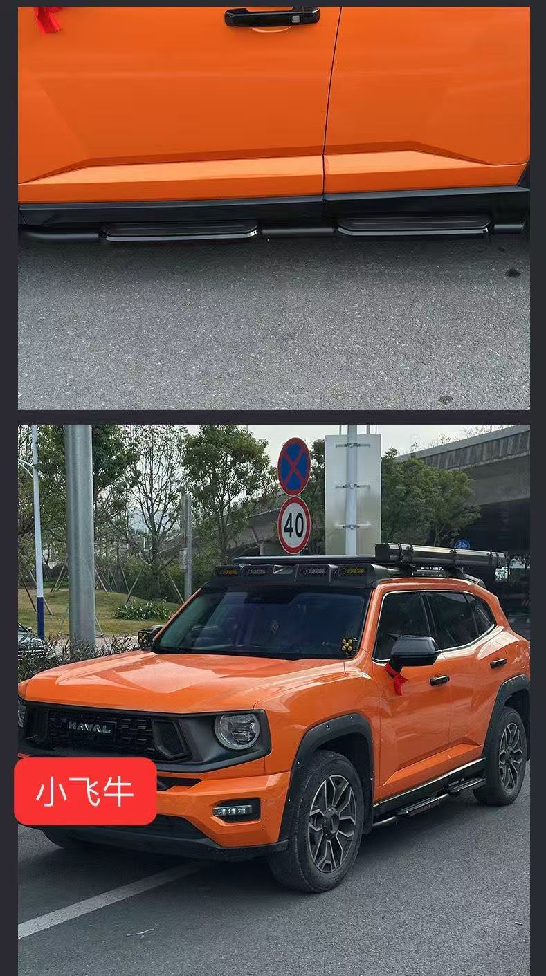 Haval Raptor Side Pedal Modification for Large Dog Welcome Pedal Fixed Two Dog Foot Pedal Welcome Side Pedal Modification