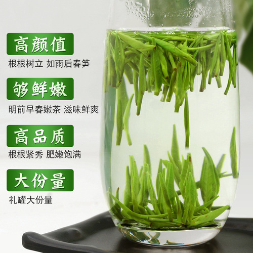 Bird's tongue Maojian sprout green tea new year's tea strong-flavor tea loose green tea wholesale gift box canned 100g