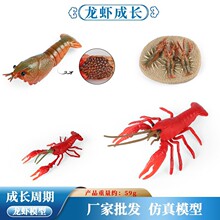 ��ͯ��̷��溣������С����ģ��С���r���L�����J֪��߈����[��