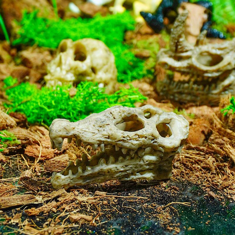 Cráneo dinosaurio cráneo acuario escalada pet crawler caja pecera DIY paisaje decoración simulación PVC Tyrannosaurus naufragio