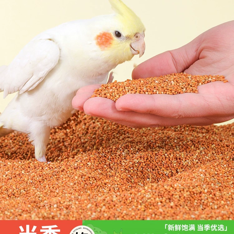 Корм для попугаев, новый корм из скорлупы красного проса, пион, тигровая кожа, черный феникс, рутин, куриный жемчуг, корм для птиц