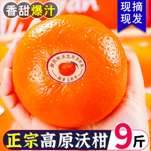 ��ϸ�ԭ�ָ����r����ˮ��9�����Ӯ����ʵ��۸���ɰ�ǽ��������