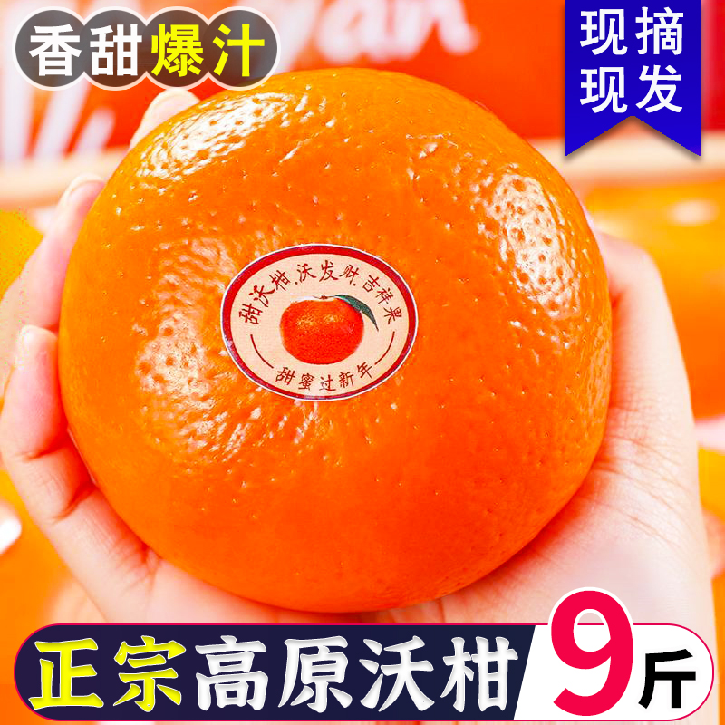 云南高原沃柑新鲜桔子水果9斤橘子当季皇帝蜜柑橘砂糖桔武呜整箱