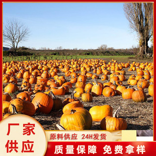 �S���ЙC�Ϲ�����ʳ���Ͱ׹�����