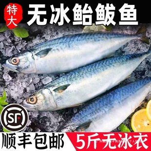 �T�E�~��ռ�~���~���r����E�~�໨�~�R�o�~���~С�E�~�����~�T�~