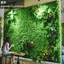 ����ֲ���b���ֲ��Gֲ����ƺ�����b�������Gֲ�����b�