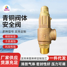 �S��ֱ�l�M�ڿ��{�ܷⰲȫ�y���ɰ�ȫ�yй���y�Չ��C��ȫ�yж���y