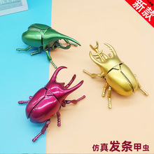 2024�¿���朼��x�l�l��߷�����朙Cе�ך��x������߿羳����؛