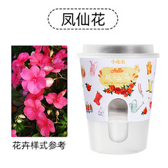 Planting Festival Handmade Creative Mini Germination Seed Planting Pottery Pot Kindergarten Teaching Observation Plant Growth