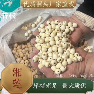 �a��؛Դ�ɑ����w��ȥоĥƤ��ɏ����̶ɏ�Ӹ�؛���l