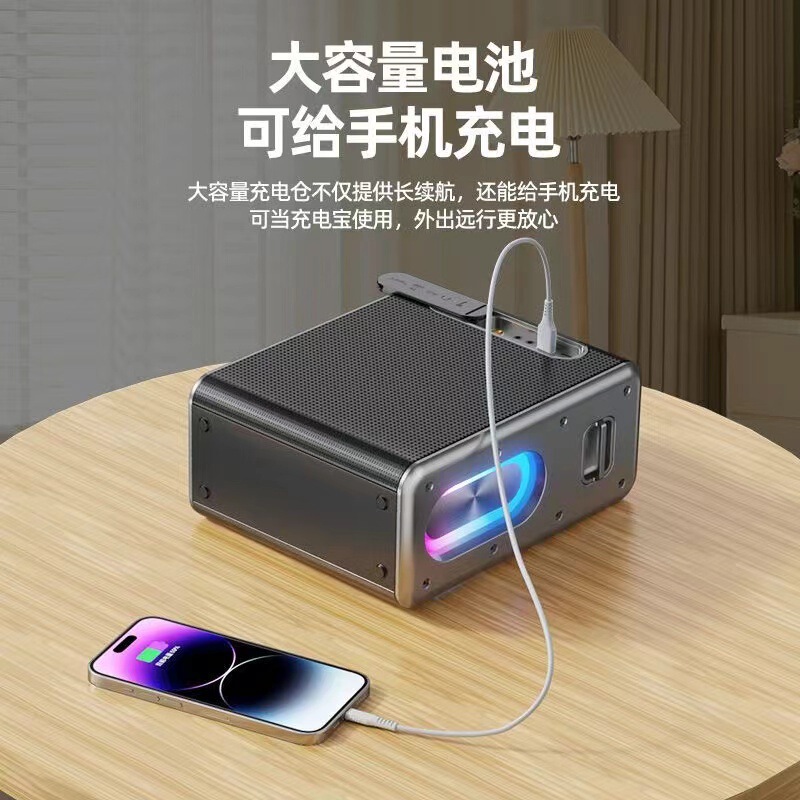 ミュージックレジェンド V8 屋外オーディオ楽器演奏カラオケライブブロードキャスト Bluetooth TWS シリーズスピーカー、ワイヤレスマイク付き|undefined
