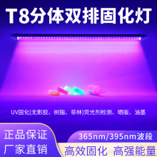 UV365紫光灯395固化跨境led紫外线紫光灯管T8分体黑光灯紫外杀菌