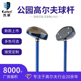 高尔夫配件;高尔夫球;高尔夫球钉