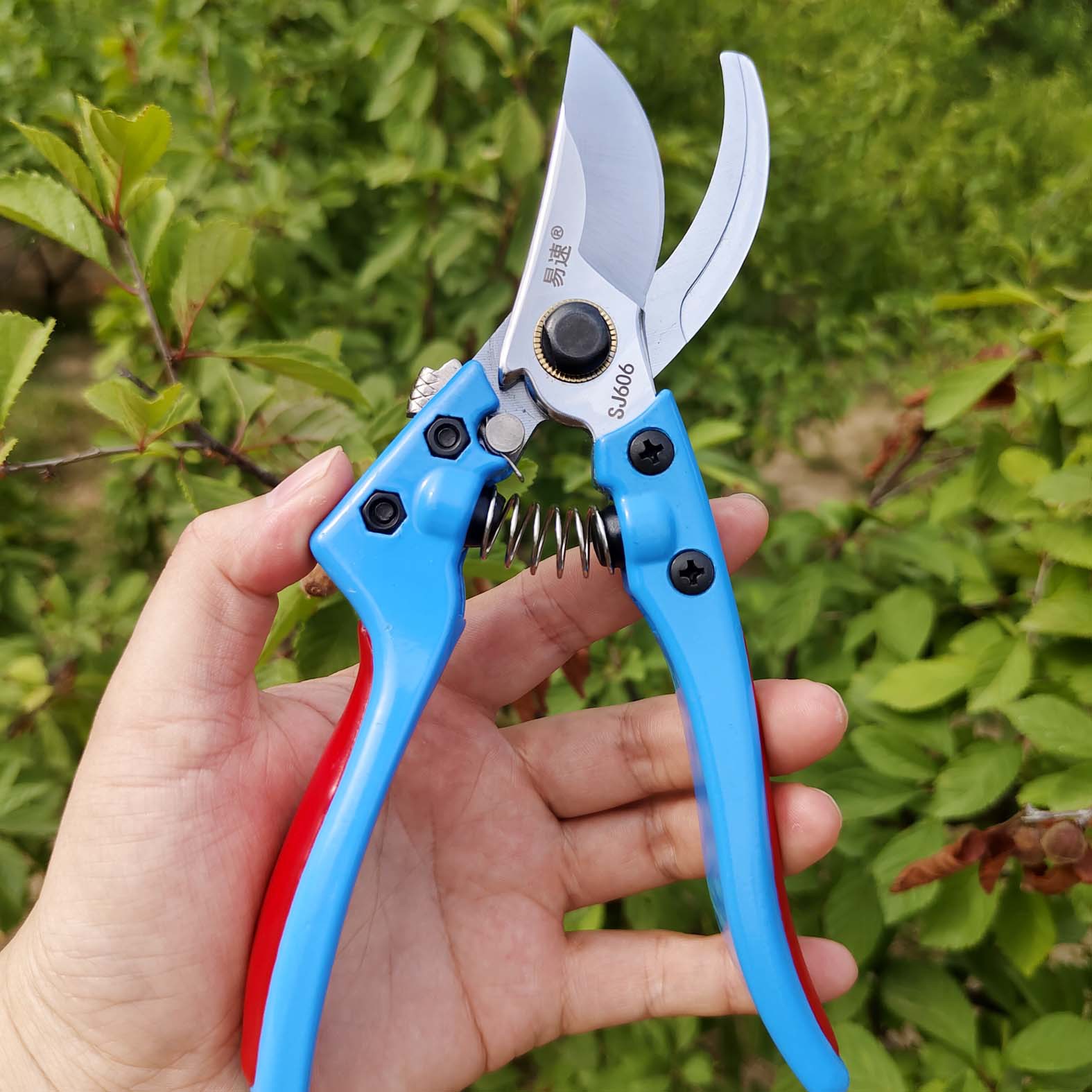 易速SJ606修枝剪刀省力剪果树剪树枝剪园艺剪花木剪园林苗木剪刀