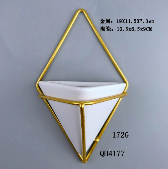Amazonas orquídeas colgantes en el interior colgantes tipo cesta colgantes