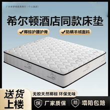 ��Ʒ���Rϯ��˼���|������20CM����Ï������zҬ��ܛӲ����1.8cm