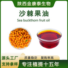 ɳ������ Ұ��ɳ������ȡ��ʳƷ���½�ɳ���������z��