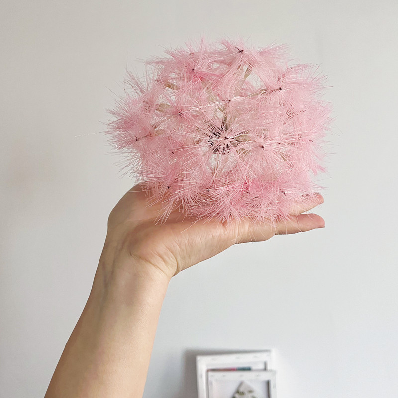 중간 꽃 머리 핑크