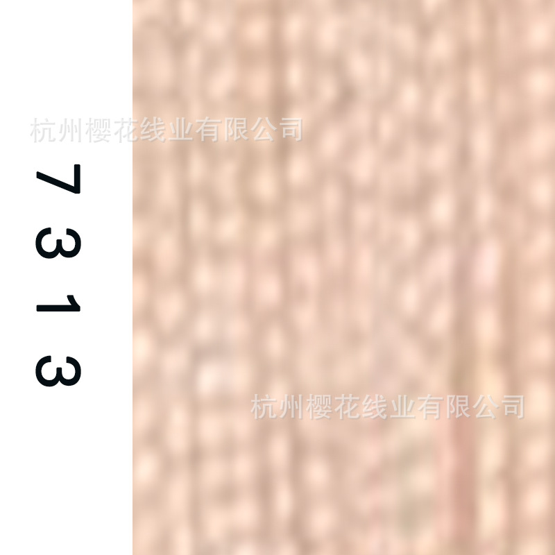 60s/2-7313