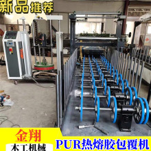 厂家定制木塑板pur热熔胶木皮移门包覆机 无烘道集成墙板覆膜机