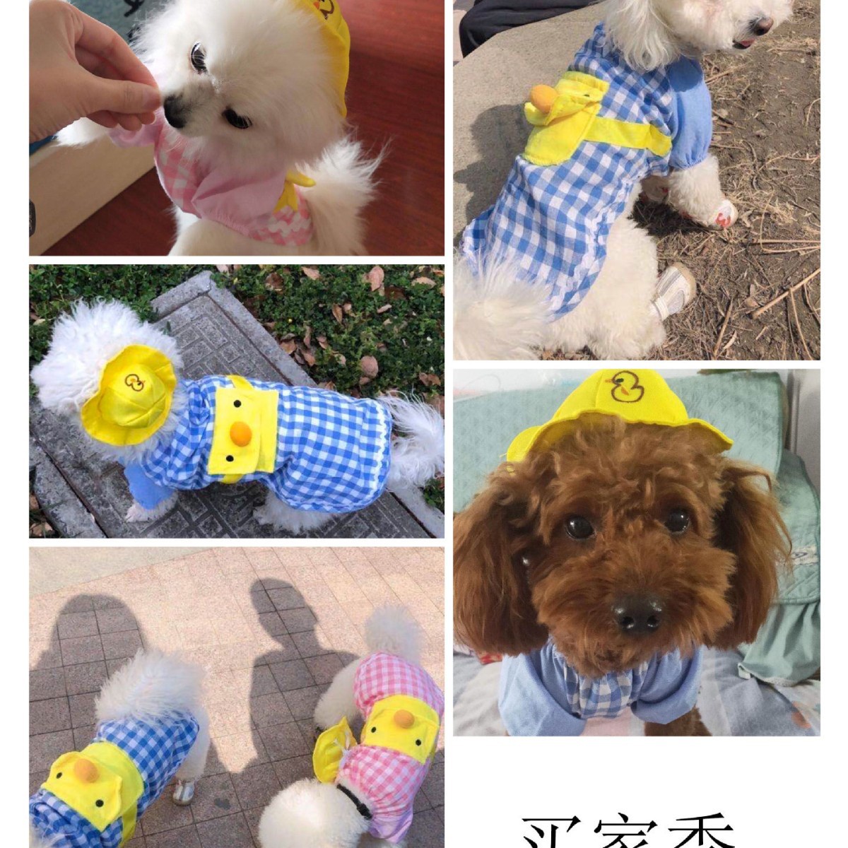 Liquidación: Mochila para perros con diseño de patito amarillo para jardín de infantes, ropa para mascotas, suministros para perros y gatos, traje para gatos de primavera, verano y otoño.