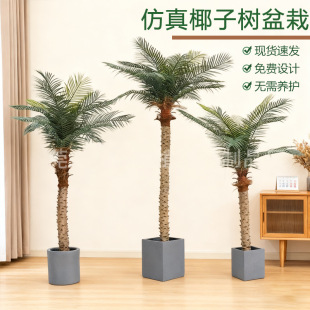 ����Ҭ�Ә����ֲ������ؙ���Ꭷ�Gֲ�҃ȼҾ�����b��������
