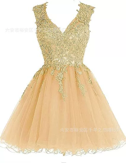 Short thin shiffon lace evening dress, for teenagers, graduation party, V-neckline, backless