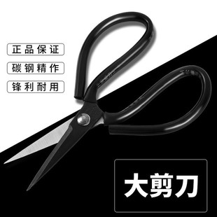 ̼䓼������ü�������Ƥ��������b���I�ÿp���^��̖�����ü�����