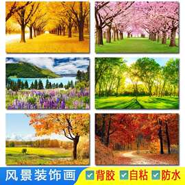 自然风景画红叶森林树木图片秋天风水乡村风光壁纸装饰不干胶贴纸