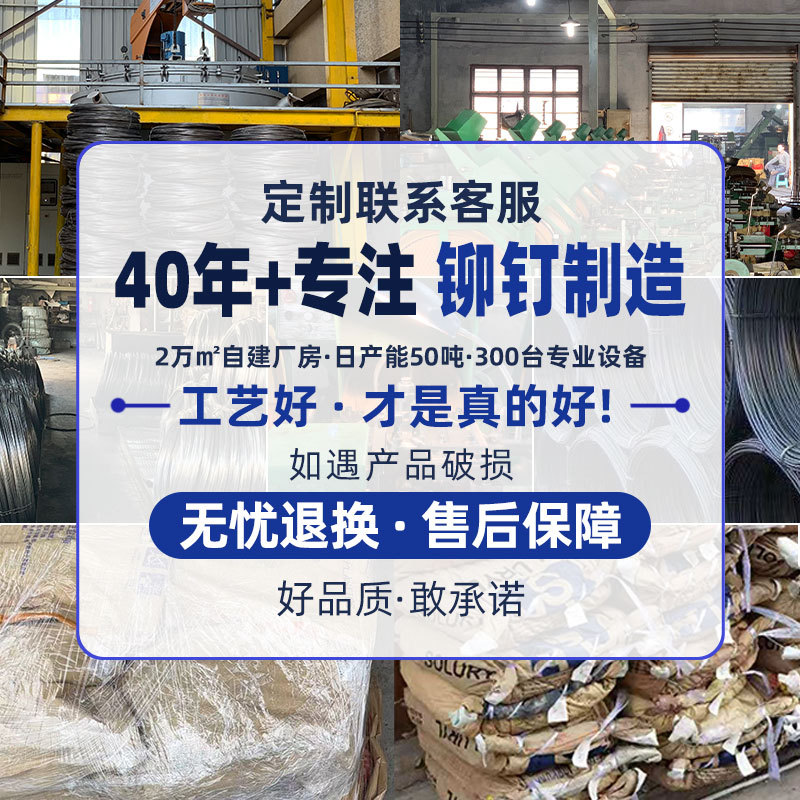 Flat Head semi-hollow rivet hollow rivet trolley case flat head rivet copper plated flat head rivet iron