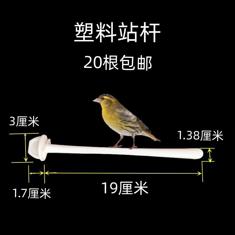 鳥用ソフトフードプレート、フードボウル、分離フードボックス、翡翠鳥、ハイビスカス鳥、カナリア、ゴールデングリーンアッシュスワロー、シスターズバード、オウム|undefined