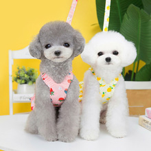 �ɠ��������·��b���Ĺ�ȹ��̩��ѩ�{��С��Ȯ23ˮ��ȹ�������K��