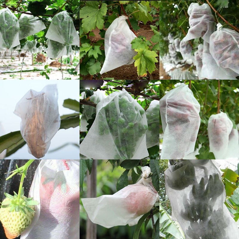 果物防鳥防虫網袋瓜果保護袋無花果ビワブドウ網袋桃いちご保護カバー|undefined