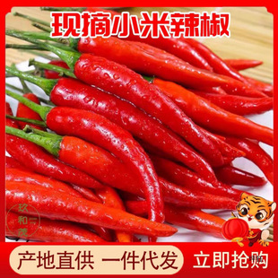 ���r�tС������10������һ�����l�����콷��������⽷���l5��