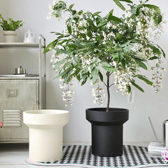 北歐簡約水泥花盆啞光黑色創意白色垂絲茉莉套盆千年木落地陶盆大