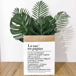 Korean-Style Ins Green Plant Trendy Monstera Leaf Living Room Creative Decoration Large Leaf Green Plant Storage