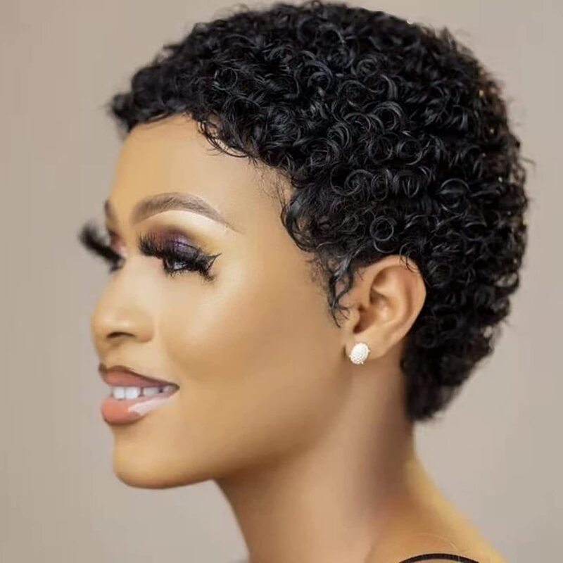 Foreign trade wig full mechanism afro curly human hair wigs Foreign trade wig full mechanism afro curly human hair wigs